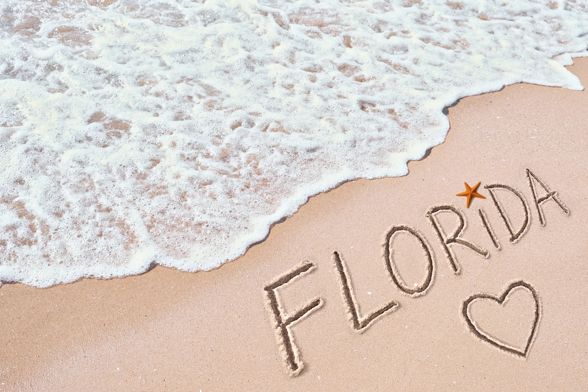 Love-florida